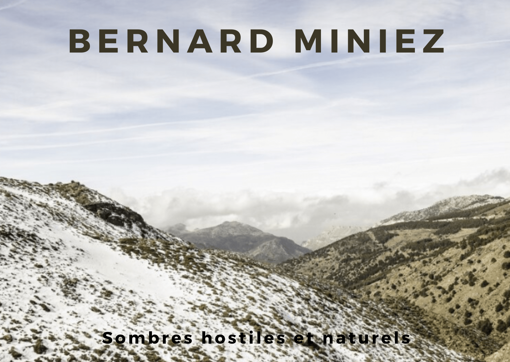 BERNARD MINIER